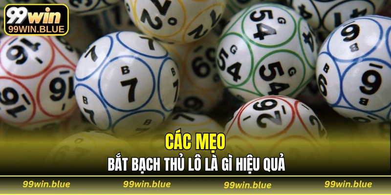 Các mẹo bắt bạch thủ lô là gì hiệu quả