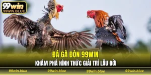 đá gà đòn