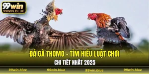 đá gà Thomo