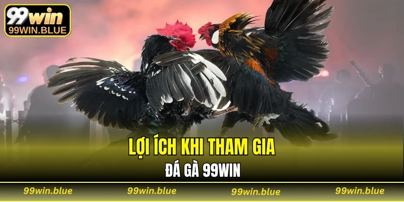Lợi ích khi tham gia đá gà 99WIN