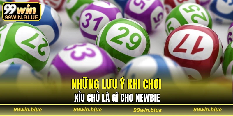 Những lưu ý khi chơi xỉu chủ là gì cho newbie