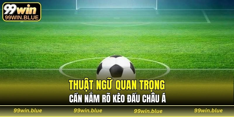 Thuật ngữ quan trọng cần nắm rõ kèo đấu châu Á