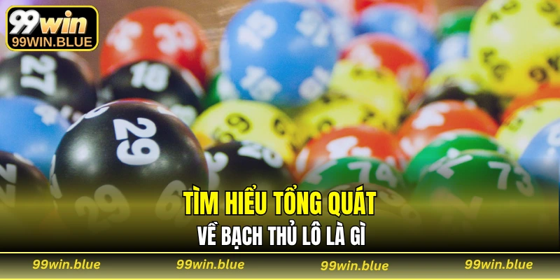 Tìm hiểu tổng quát về bạch thủ lô là gì