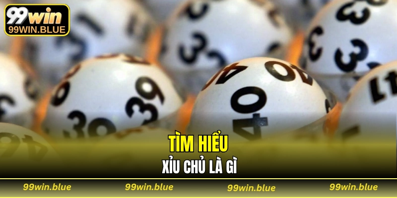 Tìm hiểu xỉu chủ là gì