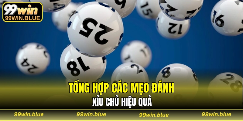 Tổng hợp các mẹo đánh xỉu chủ hiệu quả