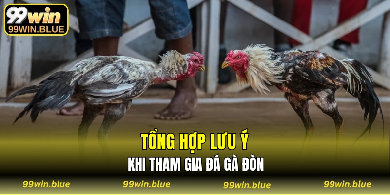 Tổng hợp lưu ý khi tham gia đá gà đòn