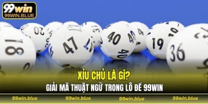 xỉu chủ là gì